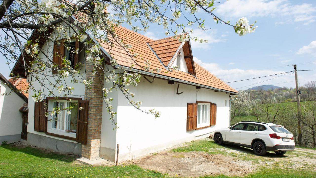 Casa Bunicii - Bran Sohodol Villa Sohodol  Exterior photo